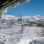 Vinje Skjaerdalen *