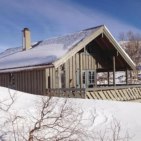 Vinje Skjaerdalen *