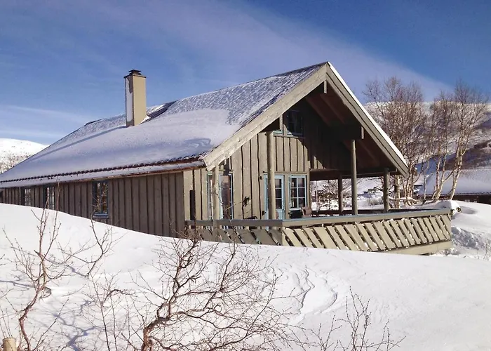 Vinje Skjaerdalen *