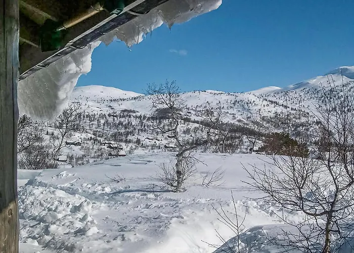 Vinje Skjaerdalen *